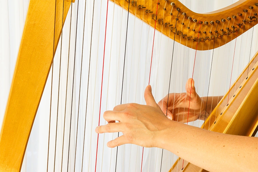 Arpa Celtica - corso musicale - Arpamagica